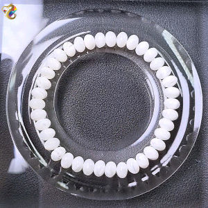 Collection Grade White Tridacna Abacus Bracelet