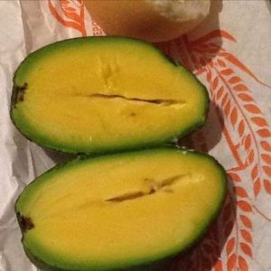 Bibit Buah Alpukat Mentega Tanpa Biji atau Non Biji