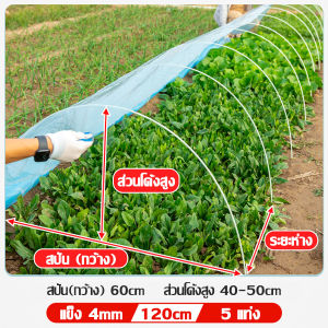GLASS FIBER TUBE (แท่งกลมตัน) 10แท่ง ความยาว120cm/150cm*180cm ไม้ค้ำต้นไม้ หลักไม้เลื้อย เสาต้นไม้ ไม้ค้ำยันต้นไม้ ค้างต้นไม้ ซุ้มต้นไม้ ค้างผัก