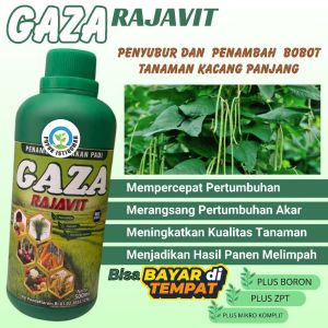 Booster Pupuk Cair Organik untuk Kacang Panjang Panen Lebat Tanaman Subur Tahan Lama