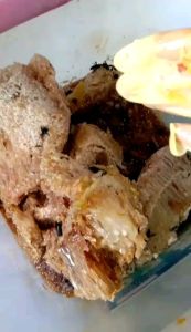 Madu Asli & Murni 1 Kg Tanpa Campuran