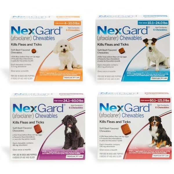 2024 Nexgard for Dogs Puppies Anti Tick and Flea with FREE Sticker