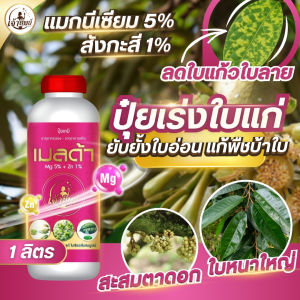 ปุ๋ยเคมีน้ำ เมลด้า สูตรแมกนีเซียม+สังกะสี ใบเขียวเข้ม ไม่แก้ว ไม่ลาย เร่งใบแก่  ใบหนา เร่งโต เพิ่มการสังเคราะห์แสง  (ดูดซึมไว 3 เท่า) ขนาด 1 ลิตร