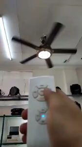 American Star 52" Ceiling Fan 5 Blade 2 light with Remote