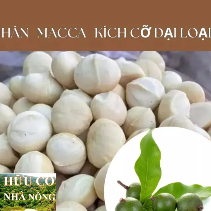 Nhân hạt Macca sấy chín nguyên hạt hữu cơ