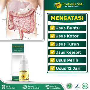 Obat Usus Buntu Usus Kotor Usus Turun Usus Lambung Usus Kejepit Usus Perih Usus 12 Jari Usus Lengket Usus Luka - Propolis SM Brazil 100% Original Resmi