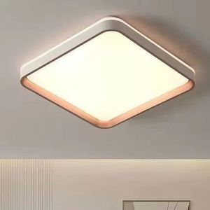 Ceiling Light Living Room Light Simple Modern LED Bedroom Light Room Restaurant Light Zhongshan Lamp