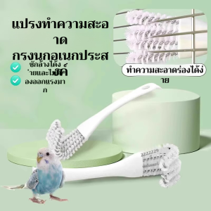 อุปกรณ์ทําความสะอาด ผู้ใช้เลี้ยงสัตว์เลี้ยง การทําความสะอาดแบบมัลติฟังก์ชั่น อุปกรณ์สัตว์เลี้ยง