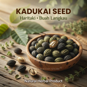 Kadukai Seeds Haritaki Buah Langkau 50g Natural Herbal Seed from India Traditional Herbal Use