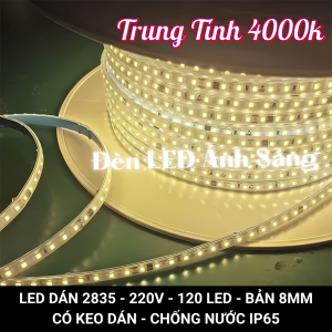 Cuộn 100m Đèn LED Dây 2835 120 LED Chống Nước Trang Trí trong nhà Ngoài trời Biển Hiệu Cắm điện 220v Siêu Sáng
