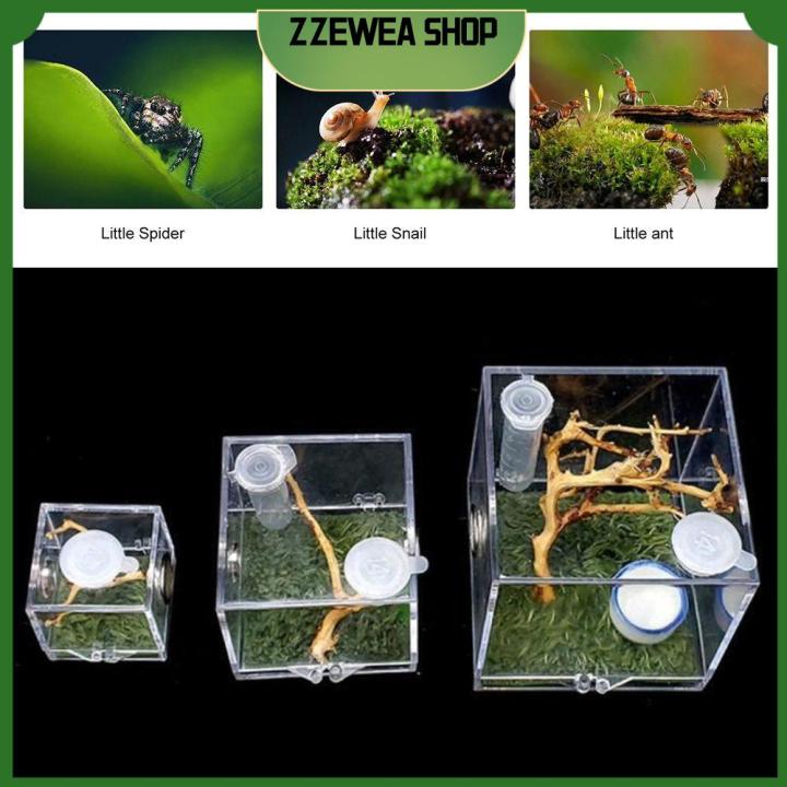 High Quality 【 Spot inventory 】Insect SHOP Box Box Breeding for ...