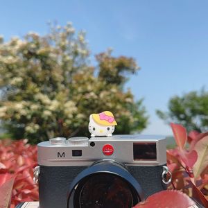 Máy Ảnh Hot bọc giày Hot Giày Bảo Vệ Bìa Phim Hoạt Hình Thích Hợp Cho máy ảnh SLR Phổ bọc chống bụi Dễ Thương phụ kiện tạo dáng