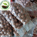 [HCM][ GIÁ SỈ ] Hạt mắc ca Tây Nguyên( 1 Kg) - Hạt mắc ca nhà trồng - Hạt macca Nứt vỏ. 