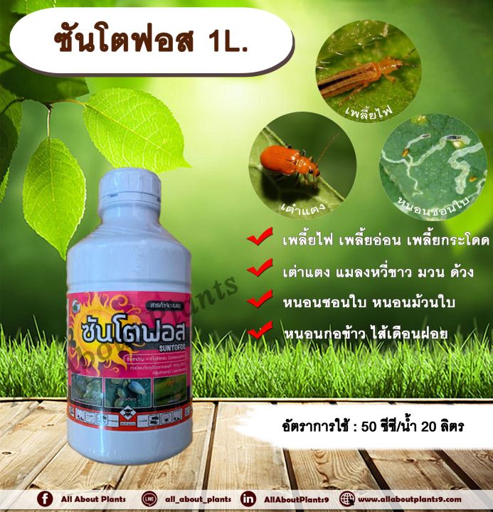 ซันโตฟอส 1L. สารกำจัดเพลี้ยไฟ เพลี้ยอ่อน หนอนแบบดูดซึม