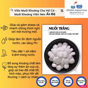 Muối khoáng viên nén - tăng cường sức đề kháng phòng bệnh cho cá cảnh KOI cá vàng chép sư tử