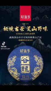 Loclreadystock Xinyihao Yunnan China Puer Tea Gu Long Pu Erh Tea Raw Tea Cake 2015 year Puer 357g 2015 500 357