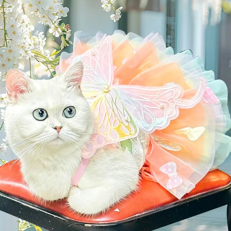 Pet Costume Cute Cat Dog Princess Dress Rainbow Butterfly Pet Clothes  Summer for Cat Dog Skirts
