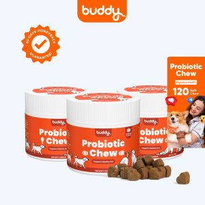 Buddy Probiotic Bites for Dogs Happy Tummy and Healthy Gut for Improved Dog Immunity - Healthy Dog Treats with Probiotics for Dog Wellness Dog Supplements and Appetite Booster for Dogs Perfect for any Dog Breed from Puppy to Adult Dogs