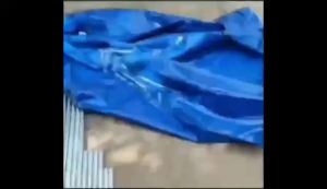 Canvas Pool Breeding Fish Pond Canvas Fish Pond Household Swimming Pool Breeding Fish Pond Reservoir High Density Breeding Canvas