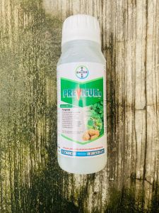 Fungisida dari Bayer PREVICUR N 722SL