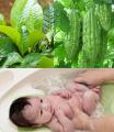 COMBO 3 HỘP SỮA TẮM BABY KHỔ QUA TRỊ RÔM SẨY. MẪN NGỨA, HĂM DA CHO TRẺ.