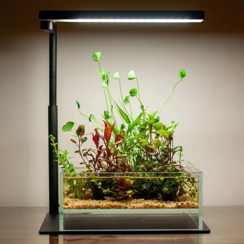 CHIHIROS C2 SERIES BASE STAND (WHITE/REGULAR-C8600) (RGB-C8601