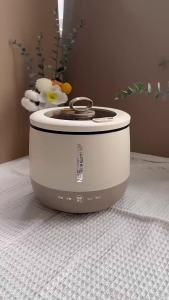 Spot English Version Rice Cooker Inligent Small Student Dormitory Non-Stick Multi-Functional Insulation Rice Cooker