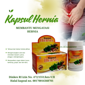 Obat hernia paling ampuh obat hernia buah pelir obat hernia obat turun berok dewasa obat hernia dewasa obat hernia herbal ampuh