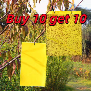 Buy 10 get 10 Strong Flies Traps Bugs Sticky Board Yellow Double-Sided Sticky Insect Board Aphid Insect Pest