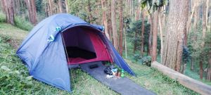 Outer tenda dome 4-5 org Avanger Malcone waterproof Polyester 210 T PU 2500 mm