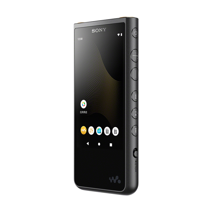 Sony NW-ZX505 Digital Media Player | Lazada PH