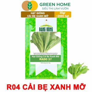 Hạt Giống Cải Bẹ Xanh Mỡ Greenhome Gói 20g~2000 hạt Dễ Trồng Quanh Năm Nảy Mầm Cao Thu Hoạch Nhanh Năng Suất Cao R04