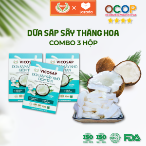 COMBO 3 hộp Dừa sáp sấy giòn cao cấp VICOSAP ít đường đồ ăn vặt healthy đặc sản Trà Vinh