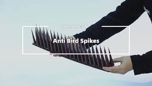 Stainless Steel Plastik Pelapik Tahan Burung Burung Duri Atap Anti-Kucing Balkoni Pagar Stud Anti-Burung