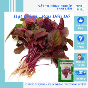 Hạt giống rau dền đỏ cao sản dễ trồng hạt giống Rồng Vàng
