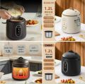 NỒI CƠM MINI CHIGO DUNG TÍCH 1.2 LÍT TIỆN LỢI. 
