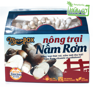 MycoBOX Nông trại Nấm Rơm Phôi Nấm Siêu To 6.8kg