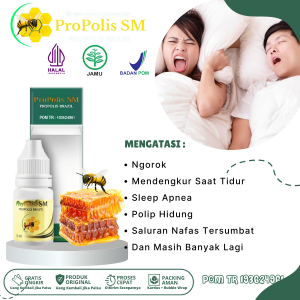 Obat Ngorok Saat Tidur Obat Penghilang Ngorok Obat Ngorok Saat Tidur Obat Anti Ngorok Obat Polip Hidung Sesak Nafas Amandel Obat Penghilang Mendengkur Keras Saat Tidur Obat Anti Sleep Apnea Dengan ProPolis SM
