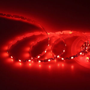 S Shaped Flexible Strip Light 2835 LED for Signage DC12V 10 Meters