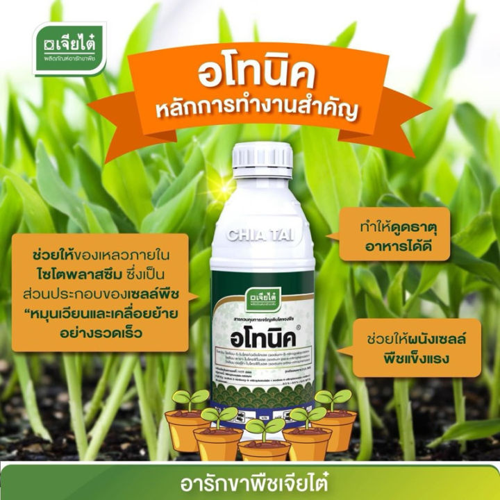 อโทนิค เจียไต๋ 100cc สารเร่งราก ขั้วเหนียว