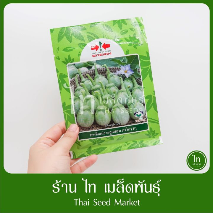 เมล็ดพันธุ์มะเขือเปราะ ดาวิกา F1 ตราศรแดง ผลดก