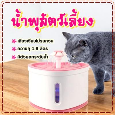 Boqi factoryน้ำพุสัตว์เลี้ยง น้ำพุแมว ปลอดภัย ช่วยกระตุ้นก