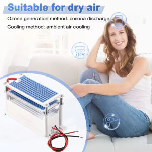 อุปกรณ์เสริมเครื่องผลิตโอโซน220V 60กรัม/ชั่วโมง-เครื่องกรองอากาศแบบพกพาสำหรับบ้านรถยนต์ห้องครัว-กำจัดควันเชื้อรากลิ่นสัตว์เลี้ยงเครื่องผลิตฟอร์มาลดีไฮด์โอโซน O3เครื่องกรอง