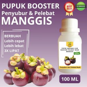 Pupuk Manggis Cepat Berbuah / Pupuk Pelebat Buah Manggis / Pupuk Booster Manggis Cair