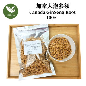 加拿大泡参须 100g Canada Ginseng Root 加拿大 泡参 泡参须 蔘 参