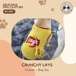 [SG] DELICIOUS DOG CLOTHES + BAG ★ DOG AND CAT FREE Enrichment Tips & Ideas e-Guide Worth $7★ SG Stock ★ Kopi Lobang ★ For Dog Cat ★ Perfect for Gift