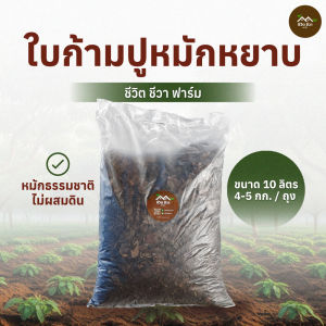 ใบก้ามปูหมักหยาบ 10 ลิตร หมักใต้ต้น ไม่มีดินผสม ไนโตรเจนสูง