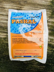 Fungisida sistemik untuk hawar pelepah PASKAL 50WP dari TUNAS HARAPAN MURNI