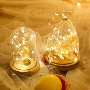 Dây đèn led trang trí đom đóm đèn fairy light chạy bằng pin trang trí tháp oản mẹt tết bó hoa tiểu cảnh 1m 2m 3m