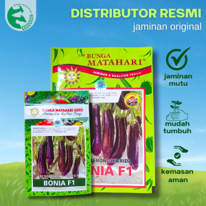 Benih Terong Ungu Hibrida BONIA F1 5 gram 1300 an Cap Biji Bunga Matahari Buah Lebat Tahan Penyakit